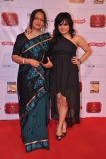 Aditi Singh Sharma at Stardust Awards 2013 red carpet in Mumbai on 26th jan 2013 (420).JPG